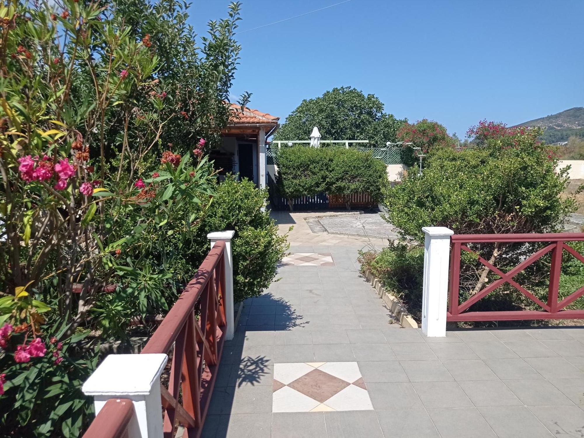 Alexandros Rooms & Studios Skopelos Zewnętrze zdjęcie